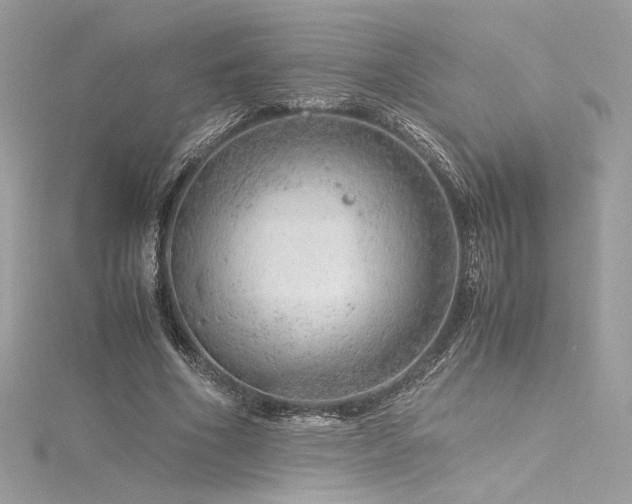 X0000116310586200911301505