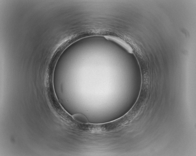 X0000116310587200911301504