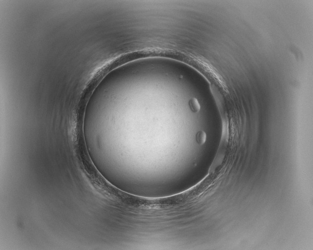 X0000116310588200911301504