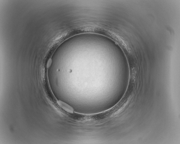 X0000116310589200911301504