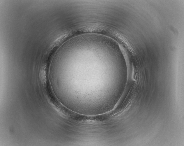 X0000116310590200911301504