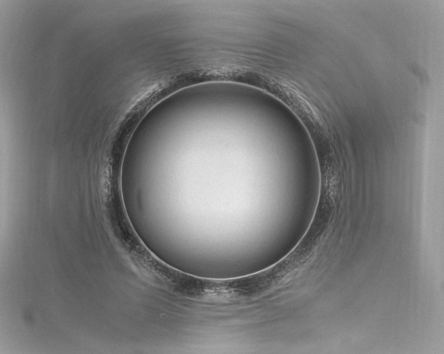 X0000116310591200911301504