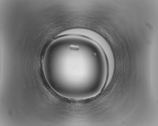 X0000116310593200911301504