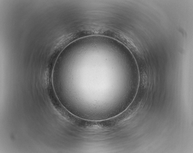 X0000116310594200911301504