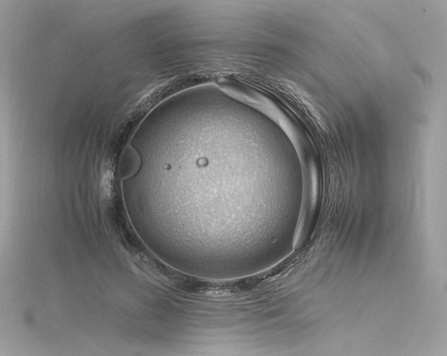 X0000116310596200911301504