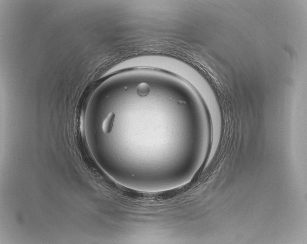 X0000116310597200911301504