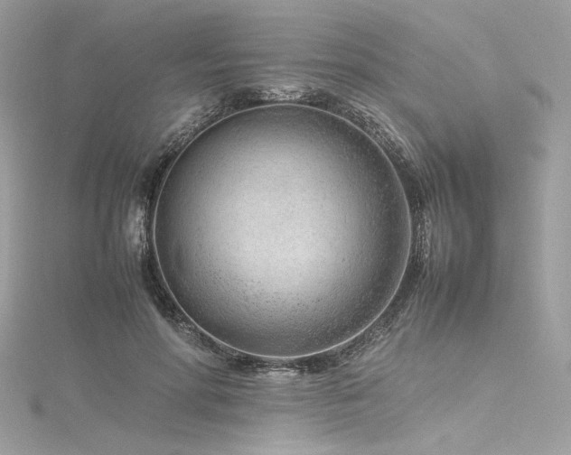 X0000116310598200911301504