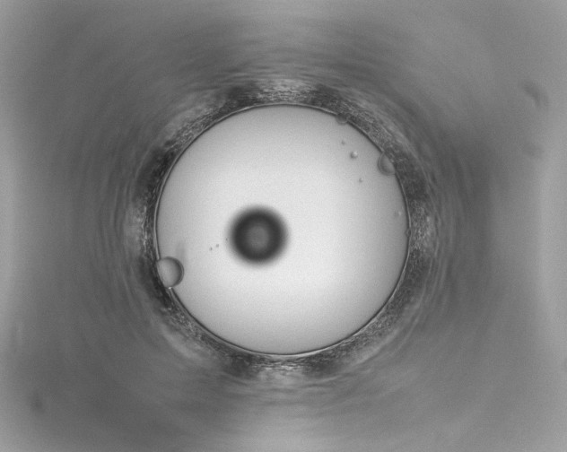 X0000116310599200911301504