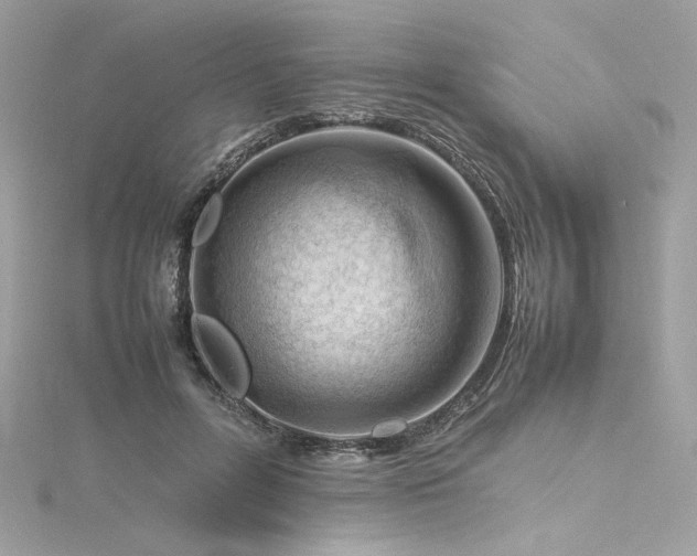 X0000116310600200911301504