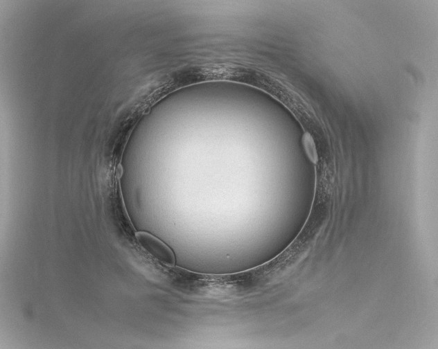 X0000116310601200911301504