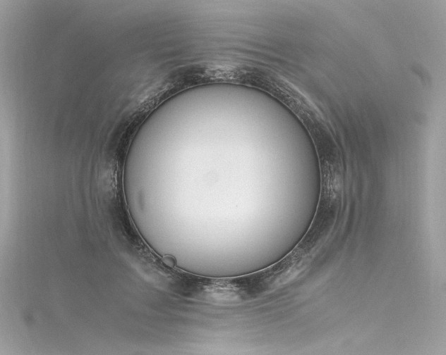 X0000116310603200911301504