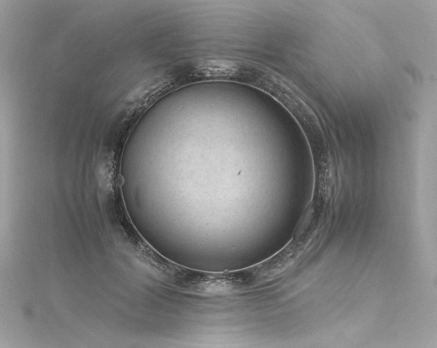 X0000116310604200911301504