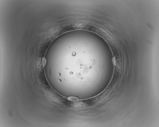 X0000116310605200911301504