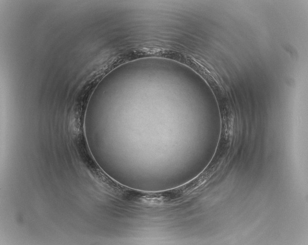 X0000116310606200911301504