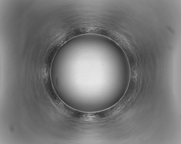 X0000116310607200911301504