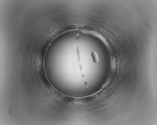 X0000116310608200911301504