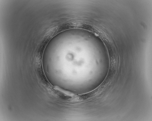 X0000116310609200911301504