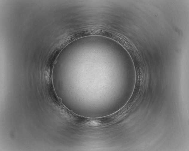 X0000116310610200911301504