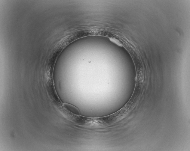 X0000116310611200911301504