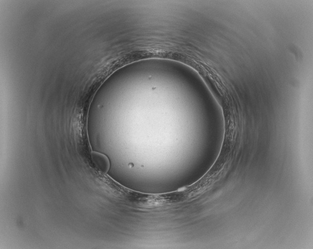 X0000116310612200911301504