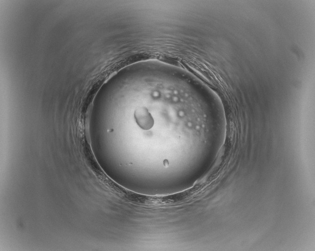 X0000116310613200911301504