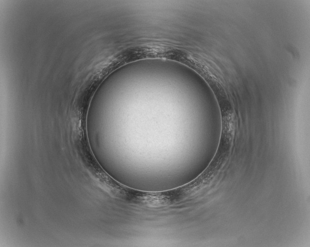 X0000116310615200911301504