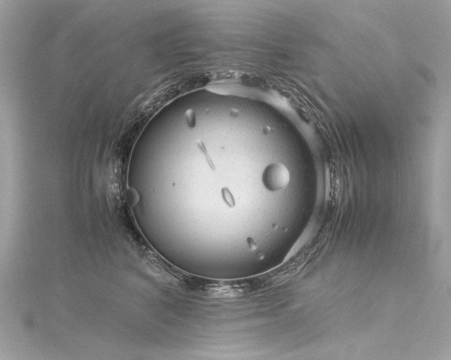 X0000116310616200911301504