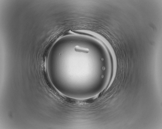 X0000116310617200911301504