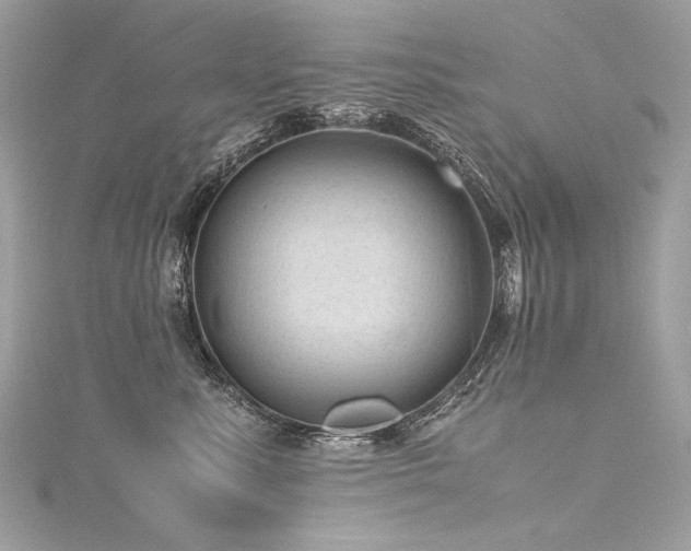 X0000116310619200911301504