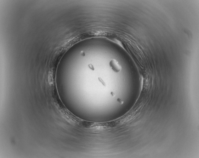 X0000116310620200911301504