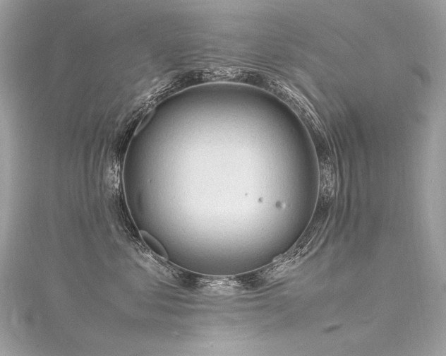 X0000116310621200911301504