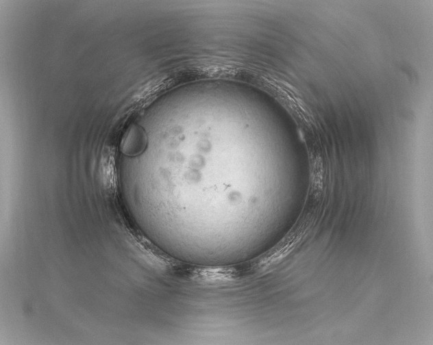 X0000116310622200911301504