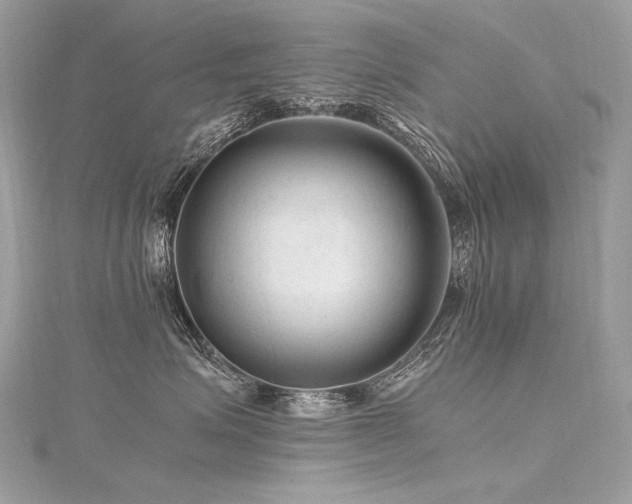 X0000116310623200911301504