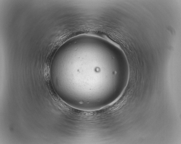 X0000116310624200911301504