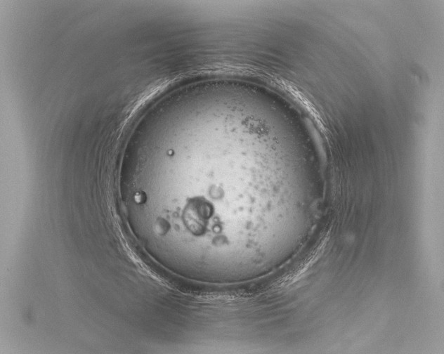 X0000116310625200911301503