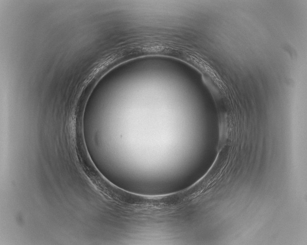 X0000116310626200911301503