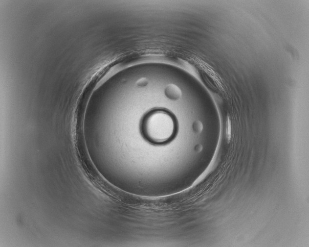 X0000116310627200911301503