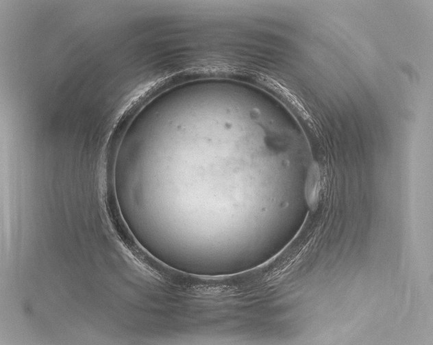 X0000116310629200911301503