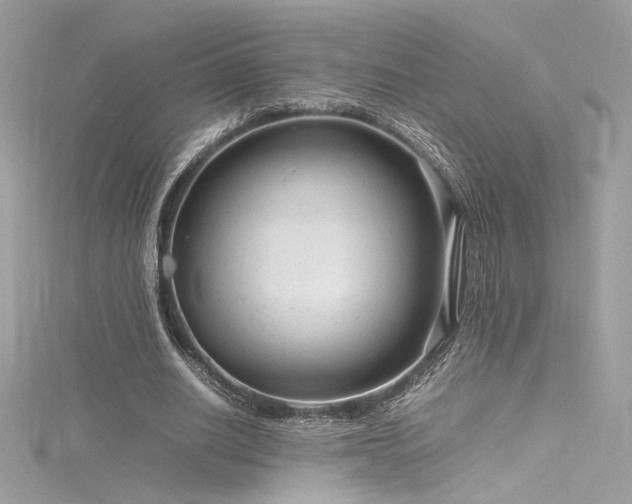 X0000116310630200911301503