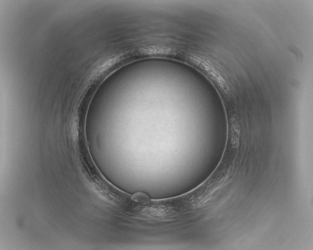 X0000116310631200911301503