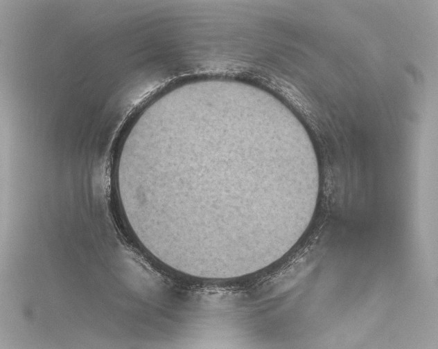 X0000116310632200911301503