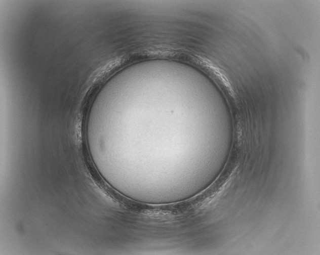 X0000116310633200911301503