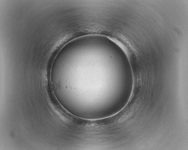 X0000116310634200911301503