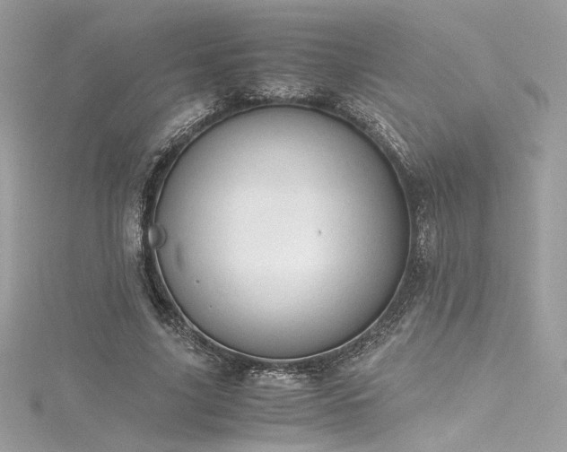 X0000116310635200911301503