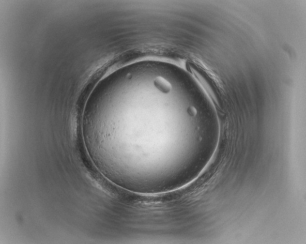 X0000116310637200911301503