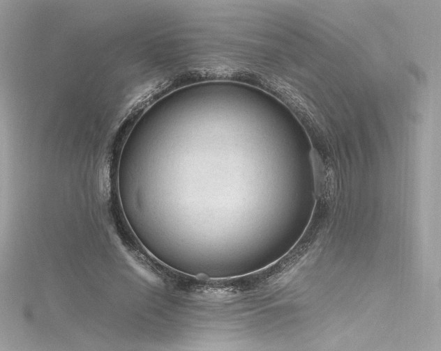 X0000116310638200911301503