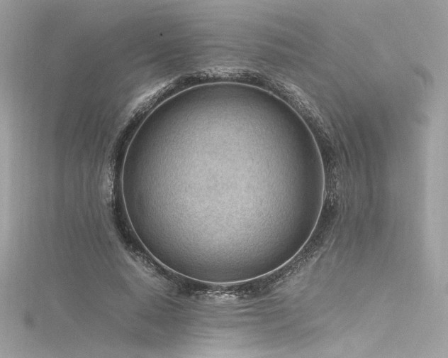 X0000116310640200911301503