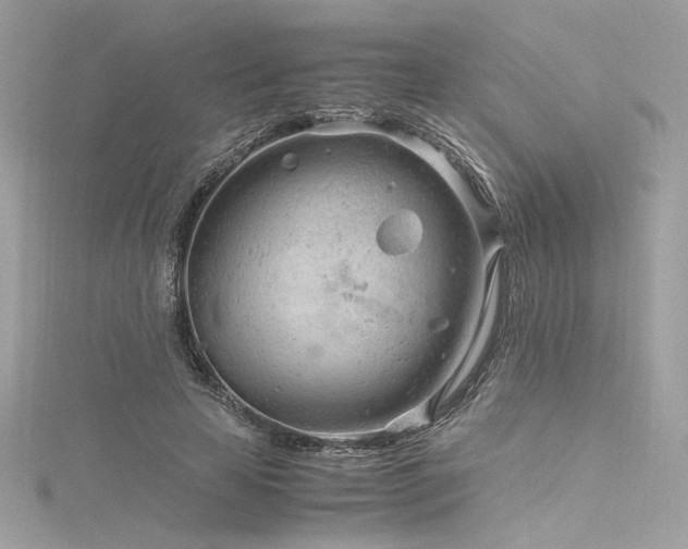 X0000116310641200911301503