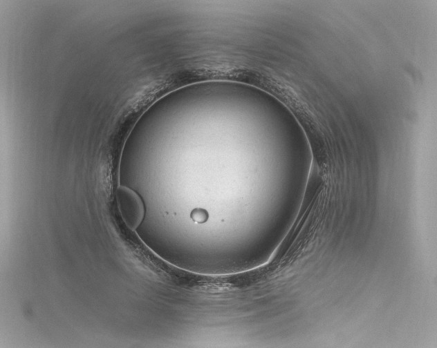 X0000116310642200911301503