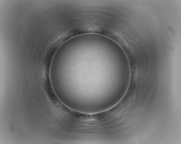 X0000116310643200911301503